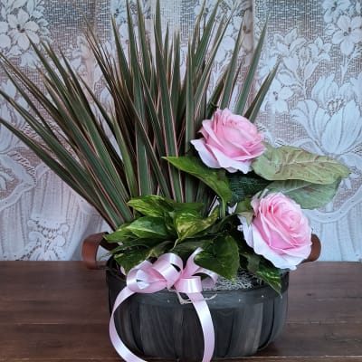Pink roses arranged in a black basket with ribbon and spiky foliage.