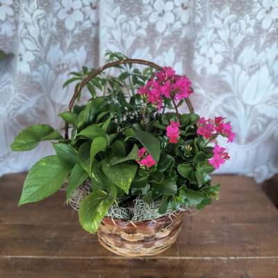 Basket of green potted plants with bright pink flowers