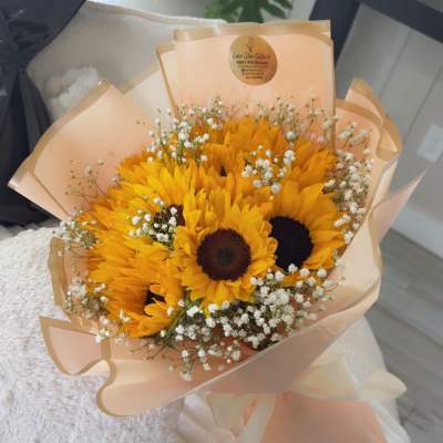 Shine sunflower