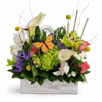 Garden Bliss Box