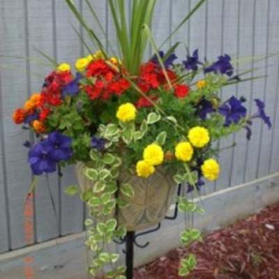 Colorful flower arrangement in a beige planter on a stand