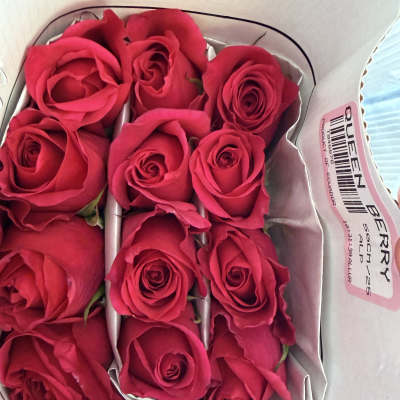 Box of bright pink roses arranged in paper sleeves