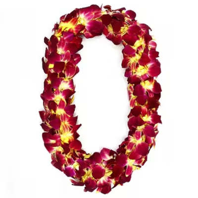 USC double orchid Lei