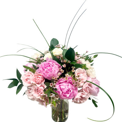 The Peony Premiere
