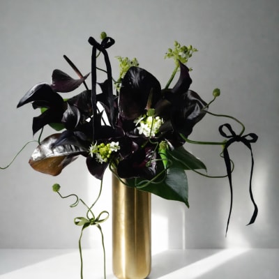 Gilded Eclipse