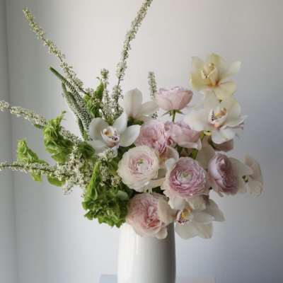 Maison Blush