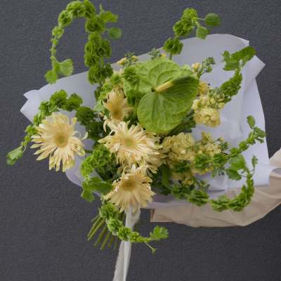 Wild Poise