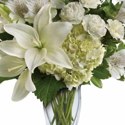 White lilies and hydrangeas arranged in a clear glass vase