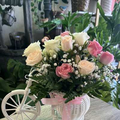 Pink and cream roses in a white tricycle basket with a pink ribbon