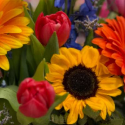 Colorful Designer's Choice