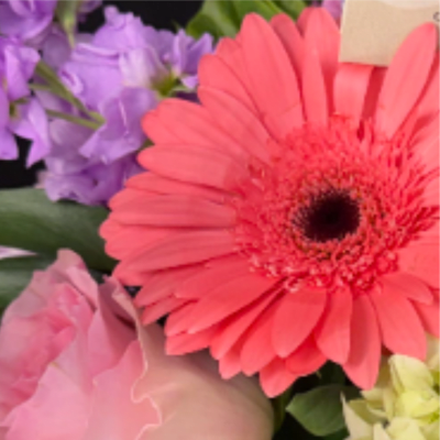 Close-up bouquet with a coral gerbera daisy, pink rose, purple blooms, and pale hydrangea