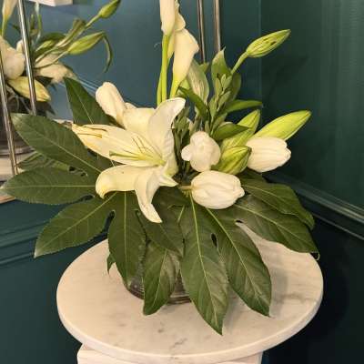 EMERALD ELEGANCE