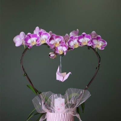planted orchid single heart