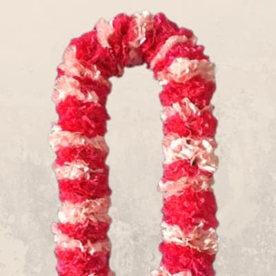 Double Carnation Lei