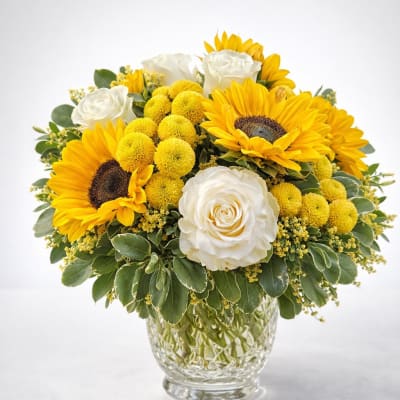 Golden Sun elegance