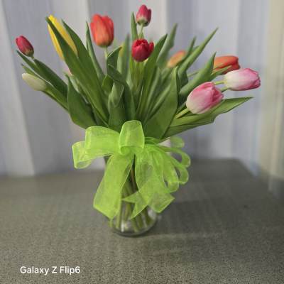 Tulips mix colors
