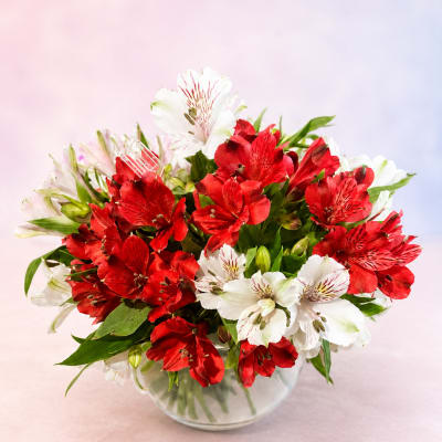 Crimson Charm