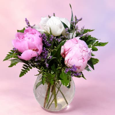 Peony Petal Dream