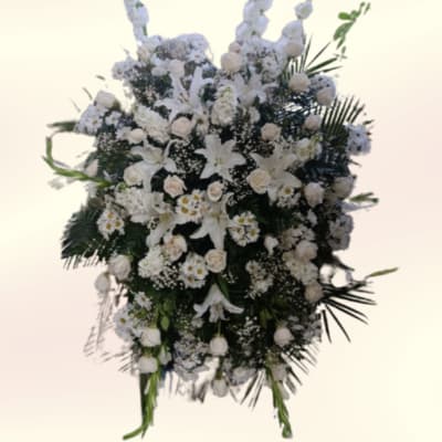 Gladiolas in White