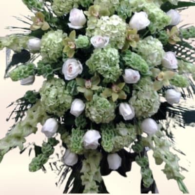 Evergreen Sympathy