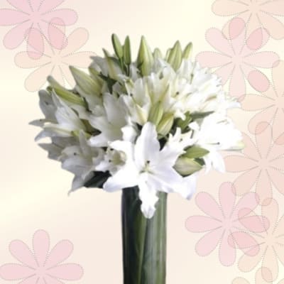 A Valley of Lilies