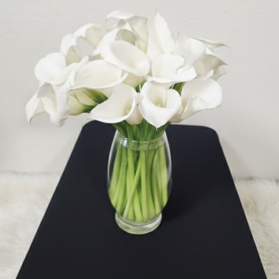 Lily