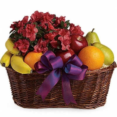 Basket of red carnations with assorted fruit and a purple ribbon