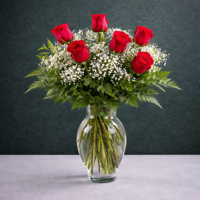 Half Dozen Red Roses With Filler