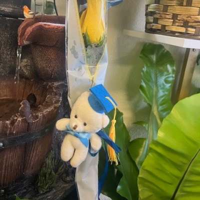 Single yellow rose in clear wrap with a teddy bear and graduation cap