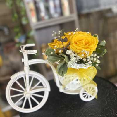 Rose BYCYCLE
