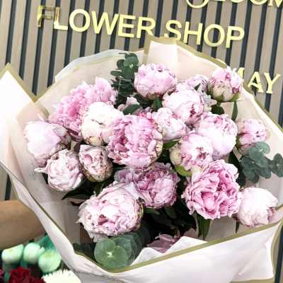 Pink Peonies