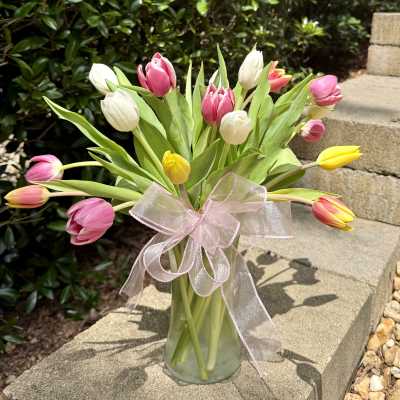 Pastel Tulips