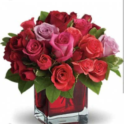 Rose