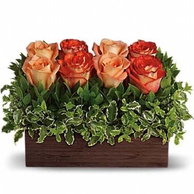 Rectangular arrangement of peach and orange roses in a wooden box