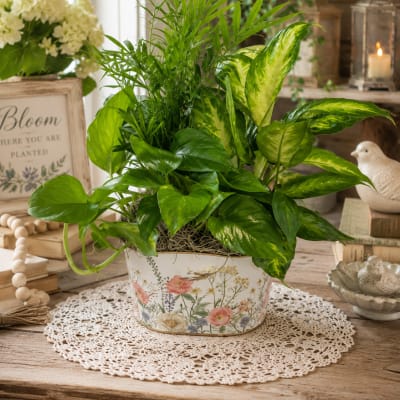 Cottage Garden Medium Planter