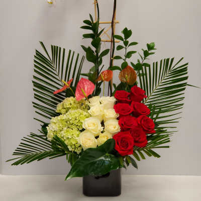 Tropical romance