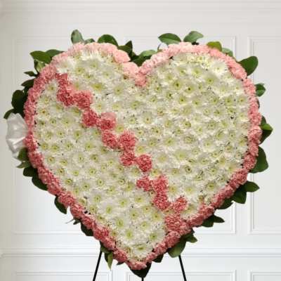Pink Bleeding Heart