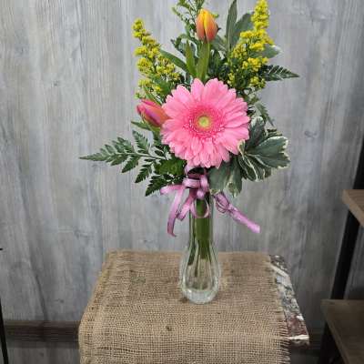 Spring Budvase