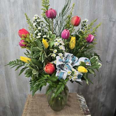 Tulip Nation