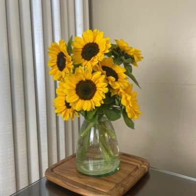 SUNFLOWERS DOZEN