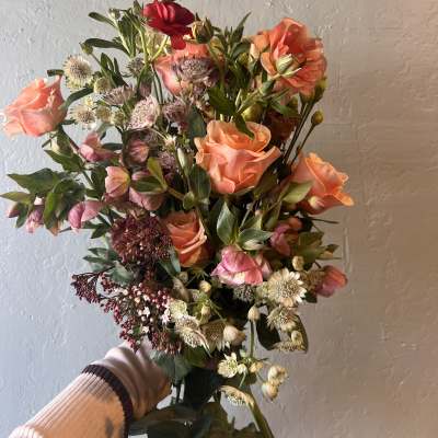 Coral Petal Garden