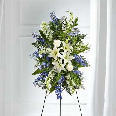 Aureline Blue