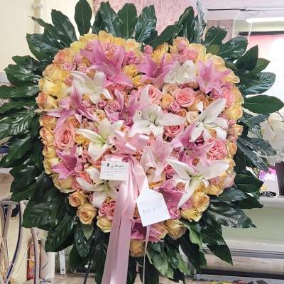 Pastel Solid Heart