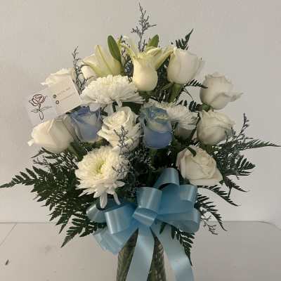 Snowy Blue Drean