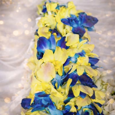 BLUE & YELLOW LEI