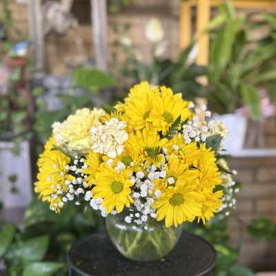 Yellow Bowl