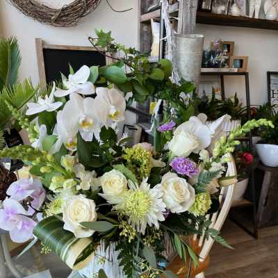 Whites and Orchids