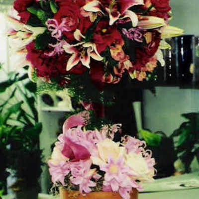 Topiary of Passion