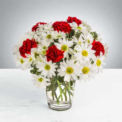 Daisy Crazy by BloomNation™