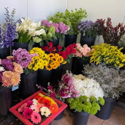 Assorted flower buckets with colorful blooms and a red tray of gerbera daisies